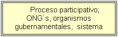 Cuadro de texto: Proceso participativo; ONG`s, organismos gubernamentales,&nbsp; sistema educacional y comunidad.
