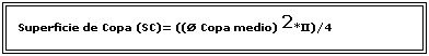 Cuadro de texto: Superficie de Copa (SC)= ((Æ Copa medio) 2*P)/4